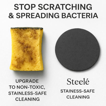 Zyrex™ Sponge for Stainless Steel