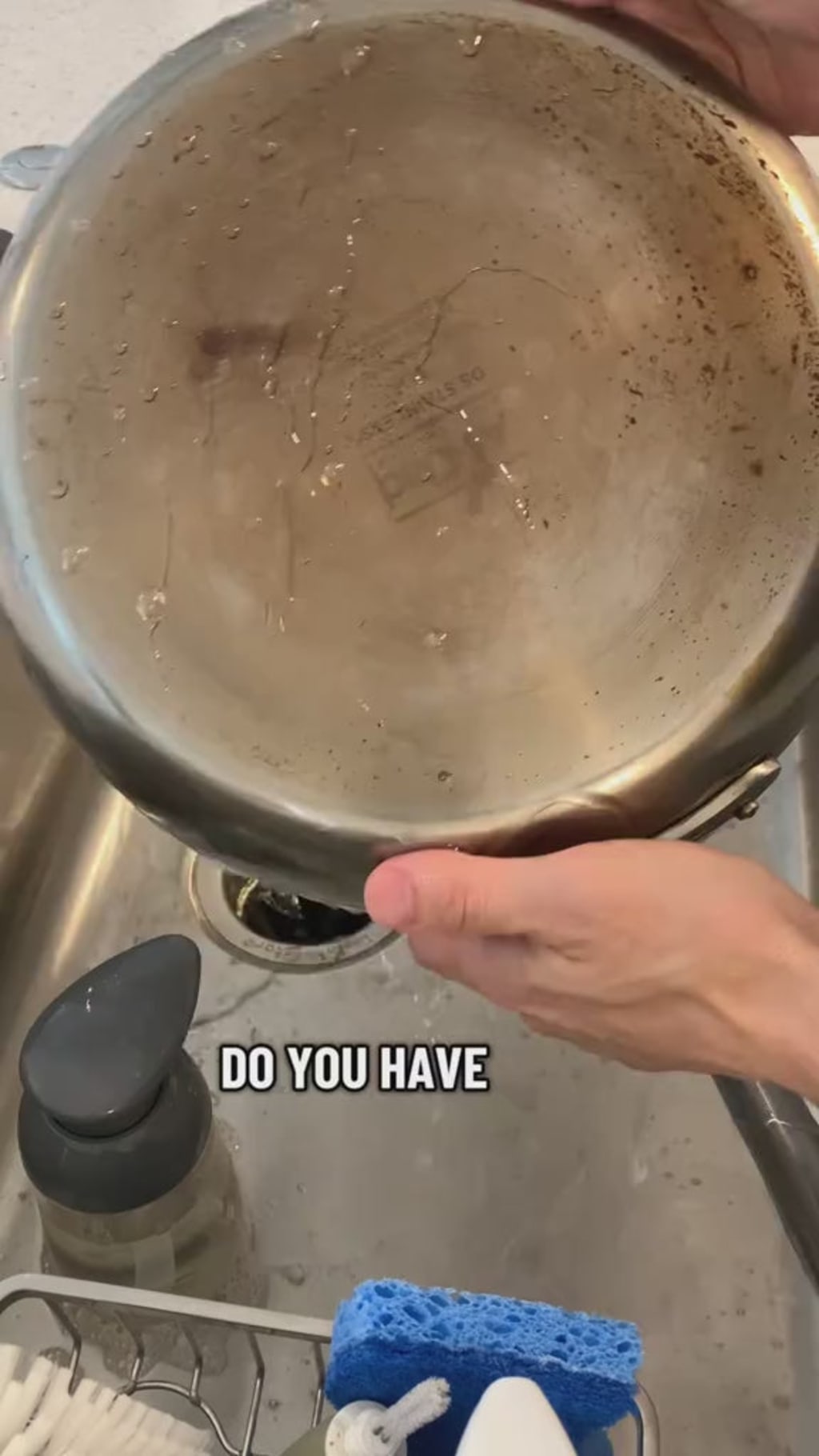 Zyrex™ Sponge for Stainless Steel