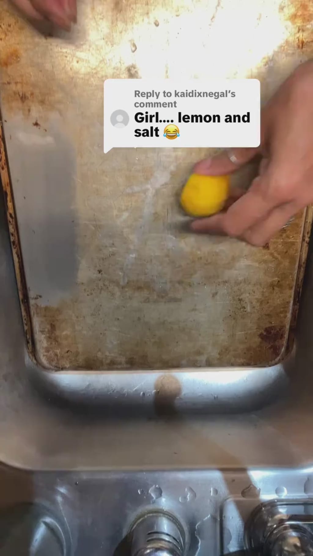 Zyrex™ Sponge for Stainless Steel