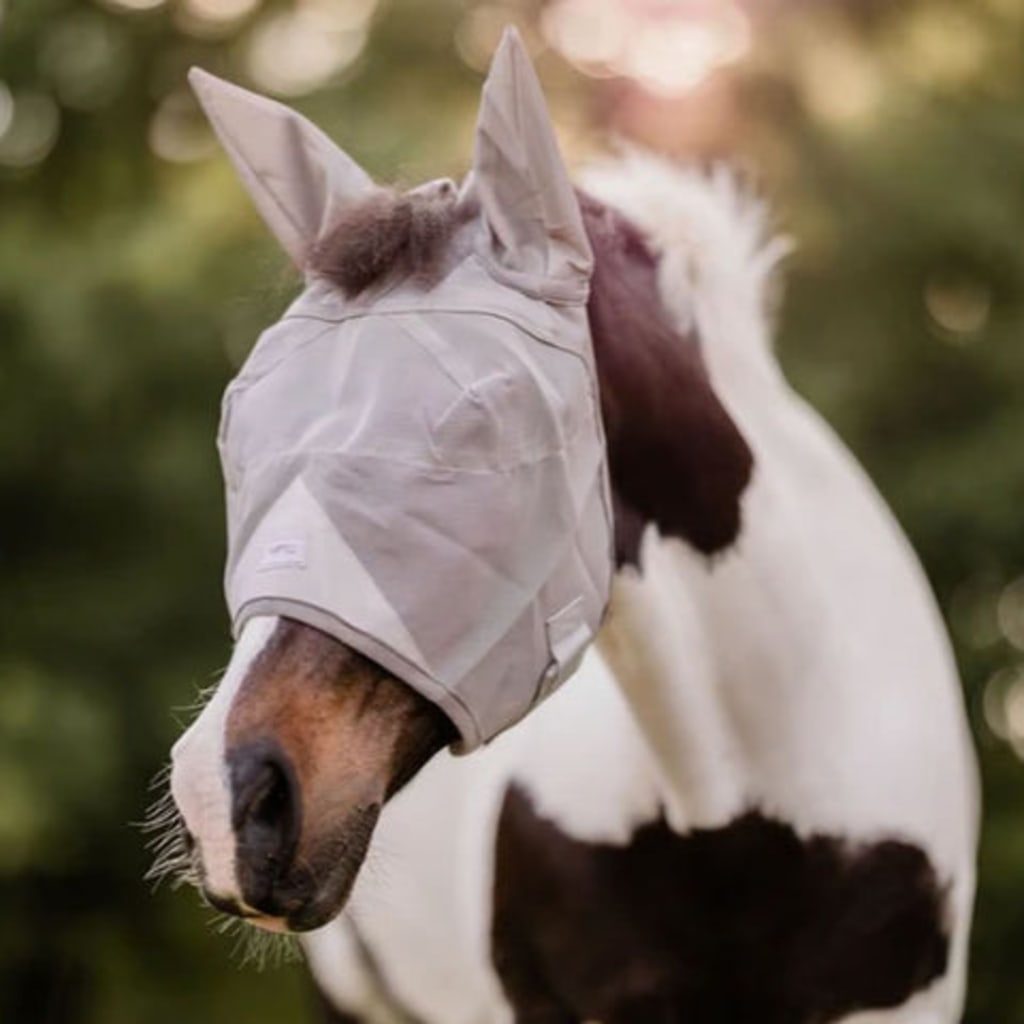 Horse Fly Mask Without Ears Breathable, Lightweight & UV Protective Adjustable Fit - Standard Horse Size